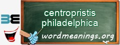 WordMeaning blackboard for centropristis philadelphica